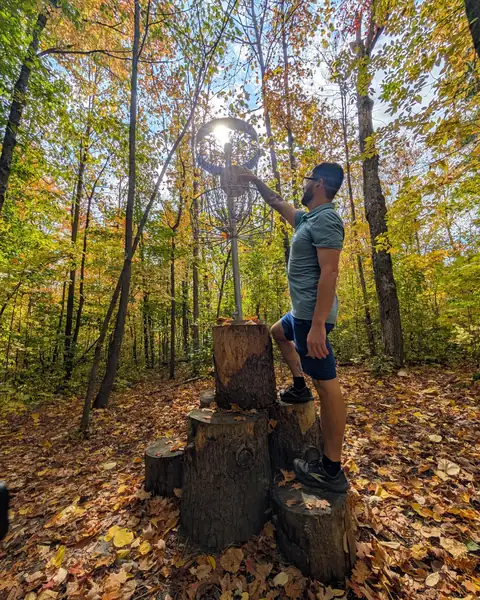 Tets reaching for a disc in a basket on a fall forest course